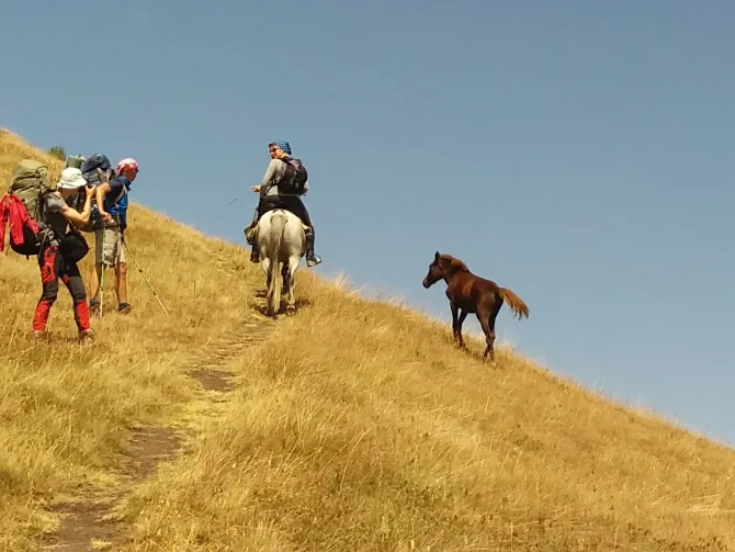 Horseback Tour in Tusheti, Georgia